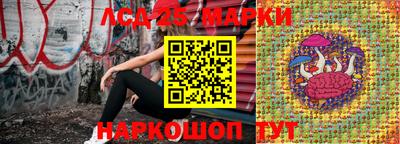 индика Владикавказ