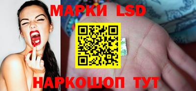 Альфа ПВП Владимир