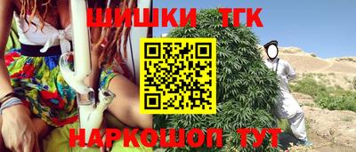 индика Владикавказ