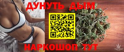 индика Владикавказ