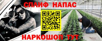 Альфа ПВП Владимир